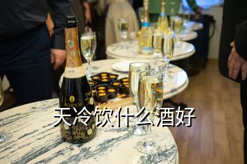 天冷飲什么酒好