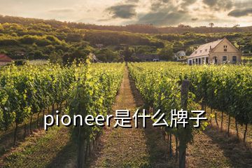 pioneer是什么牌子