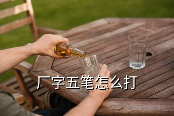 廠字五筆怎么打