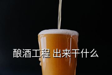 釀酒工程 出來干什么