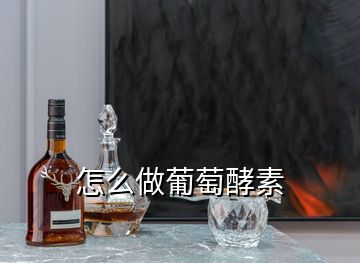 怎么做葡萄酵素