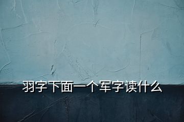 羽字下面一個軍字讀什么