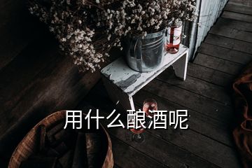 用什么釀酒呢