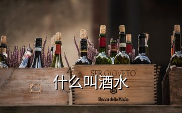 什么叫酒水