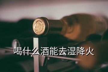 喝什么酒能去濕降火