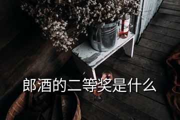 郎酒的二等獎(jiǎng)是什么