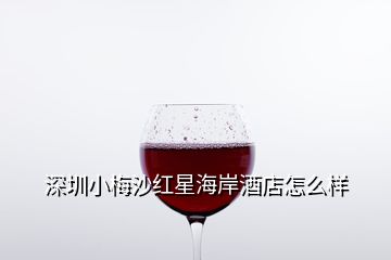 深圳小梅沙紅星海岸酒店怎么樣