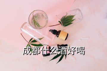 成都什么酒好喝