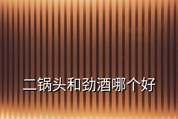 二鍋頭和勁酒哪個好