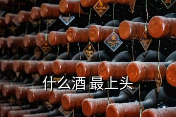 什么酒 最上頭