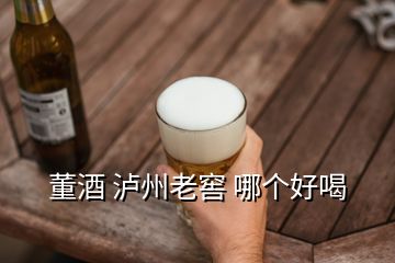 董酒 瀘州老窖 哪個(gè)好喝