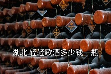 湖北 輕輕歌酒多少錢一瓶