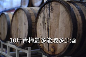 10斤青梅最多能泡多少酒