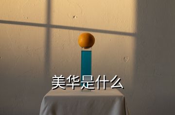 美華是什么