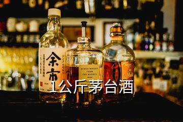 1公斤茅臺酒