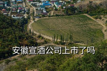 安徽宣酒公司上市了嗎