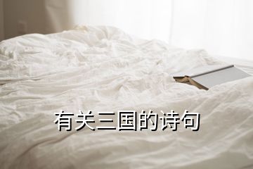 有關(guān)三國的詩句