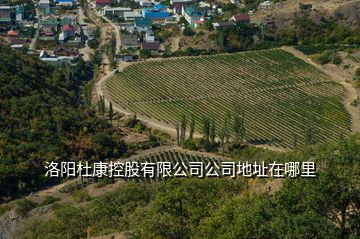 洛陽杜康控股有限公司公司地址在哪里