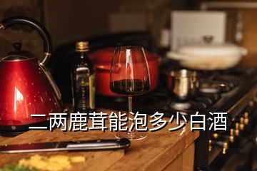 二兩鹿茸能泡多少白酒