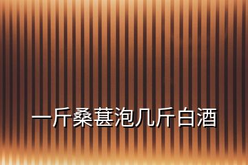 一斤桑葚泡幾斤白酒