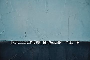 你是ECCO公司的廈門那邊ecco的一個(gè)工廠吧