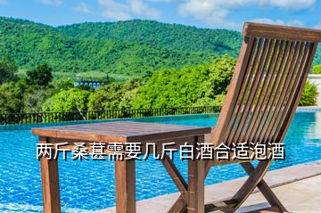 兩斤桑葚需要幾斤白酒合適泡酒