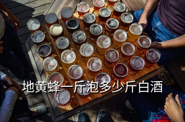 地黃蜂一斤泡多少斤白酒