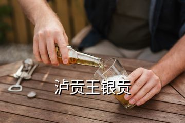 瀘貢王銀貢