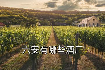 六安有哪些酒廠