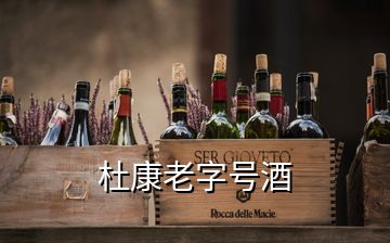 杜康老字號酒