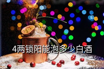 4兩鎖陽(yáng)能泡多少白酒