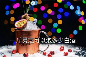 一斤靈芝可以泡多少白酒