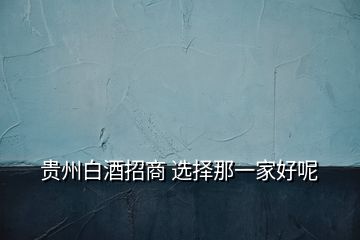 貴州白酒招商 選擇那一家好呢