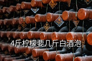 4斤檸檬要幾斤白酒泡