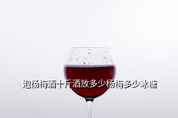 泡楊梅酒十斤酒放多少楊梅多少冰糖