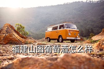 福建山圖葡萄酒怎么樣