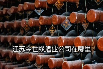 江蘇今世緣酒業(yè)公司在哪里