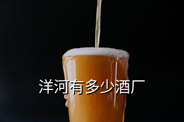 洋河有多少酒廠