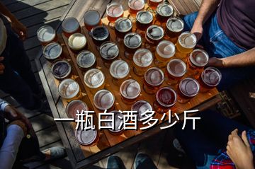 一瓶白酒多少斤