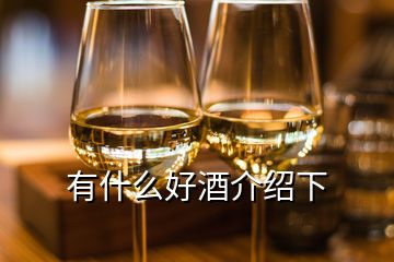 有什么好酒介紹下