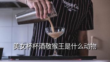 美女杯杯酒敬猴王是什么動物