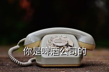 你是啤酒公司的