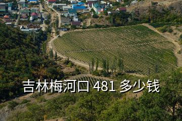 吉林梅河口 481 多少錢(qián)