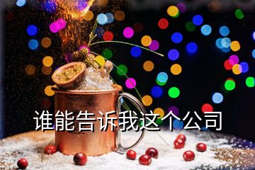 誰能告訴我這個公司