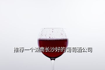 推薦一個(gè)湖南長沙好的葡萄酒公司