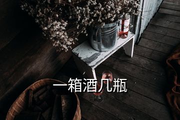 一箱酒幾瓶