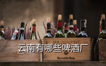 云南有哪些啤酒廠