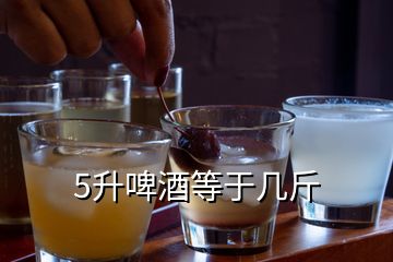 5升啤酒等于幾斤