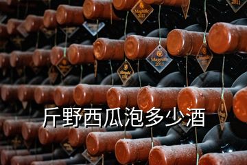 斤野西瓜泡多少酒