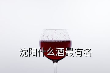 沈陽什么酒最有名